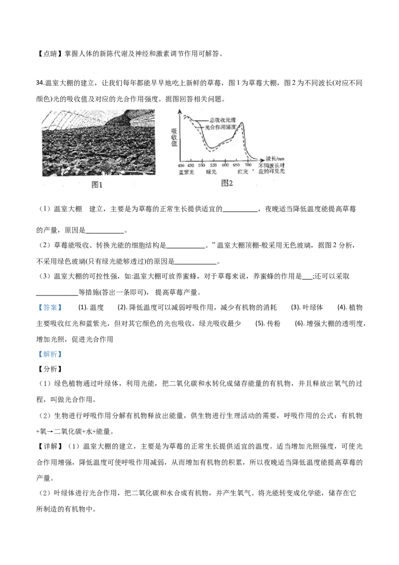 精品解析：2019年山东日照中考生物试题（解析版）_中考真题_8.生物中考真题2015-2024年_2019年全国中考生物92份_精品解析：山东省日照市2019年中考生物试题