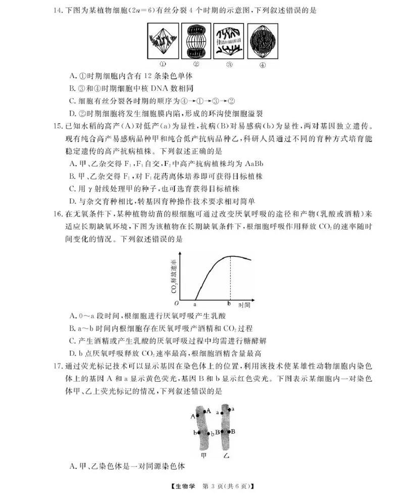 浙江强基6月高一学考----生物_2025年6月_250615浙江强基联盟2025年6月学考模拟考试(1)_浙江省强基联盟学考模拟2024-2025学年高一下学期6月学考模拟生物试题