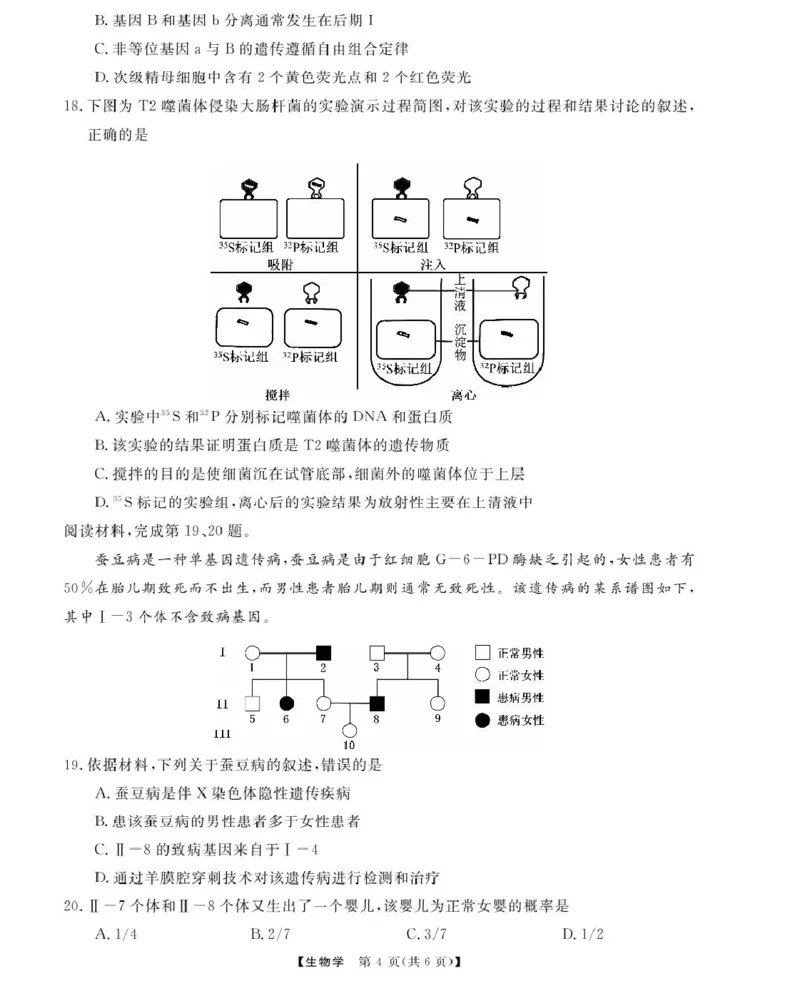 浙江强基6月高一学考----生物_2025年6月_250615浙江强基联盟2025年6月学考模拟考试(1)_浙江省强基联盟学考模拟2024-2025学年高一下学期6月学考模拟生物试题