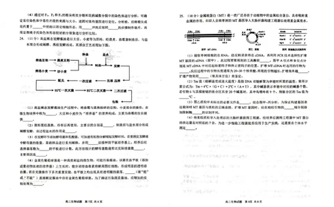 山东省威海市2024-2025学年高二下学期期末考试生物试题_2025年7月_250721山东省威海市2024-2025学年高二下学期期末考试（全科）