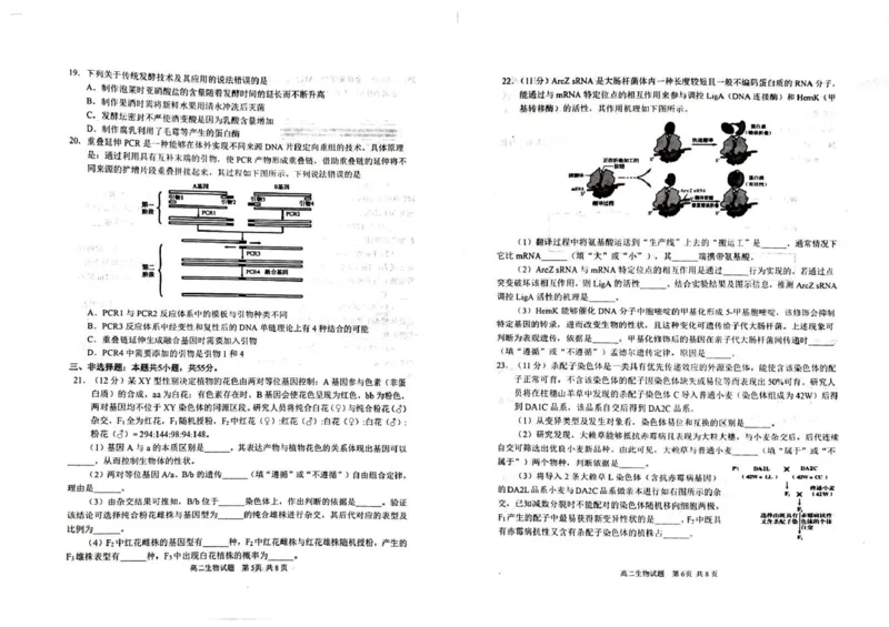 山东省威海市2024-2025学年高二下学期期末考试生物试题_2025年7月_250721山东省威海市2024-2025学年高二下学期期末考试（全科）