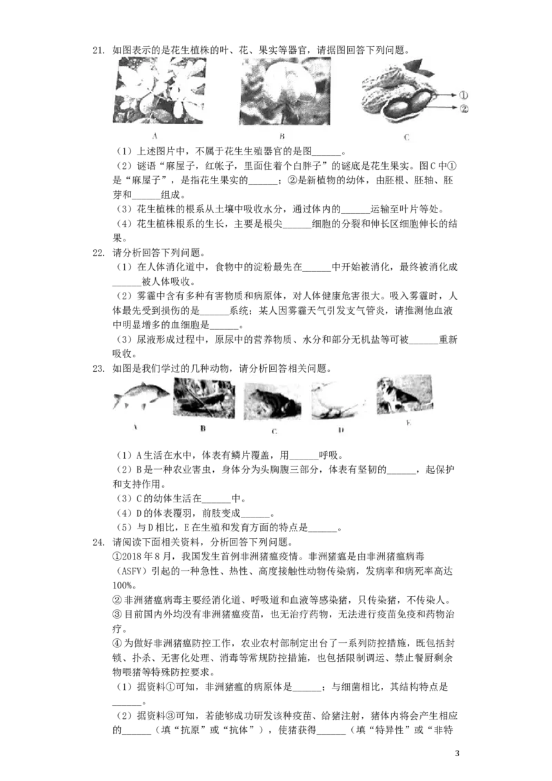 甘肃省定西市2019年中考生物真题试题（含解析）_中考真题_8.生物中考真题2015-2024年_2019年全国中考生物92份