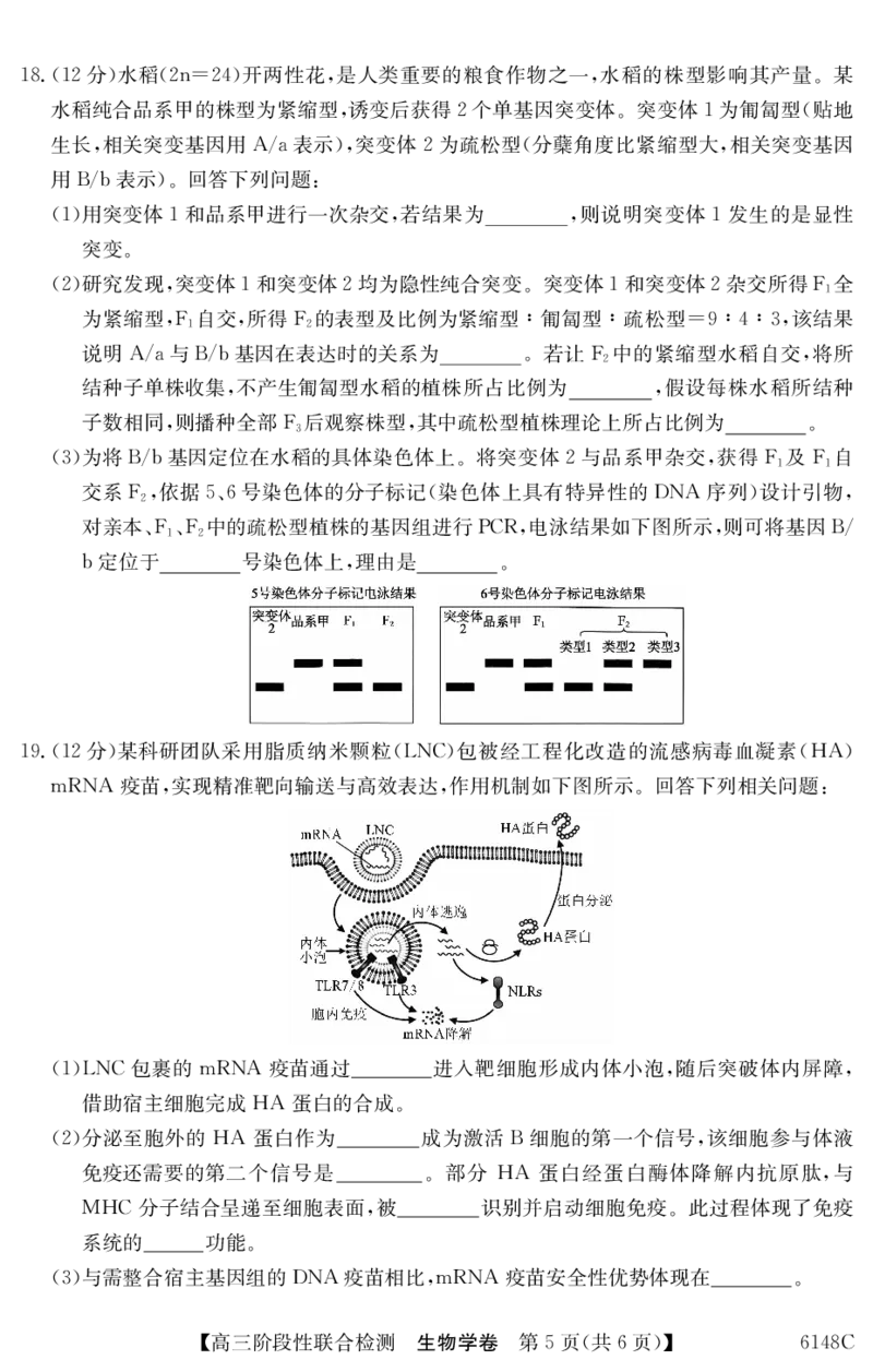 6148C生物学_2025年12月_251210广东省纵千文化2025年12月高三阶段性联合检测6148C（全科）