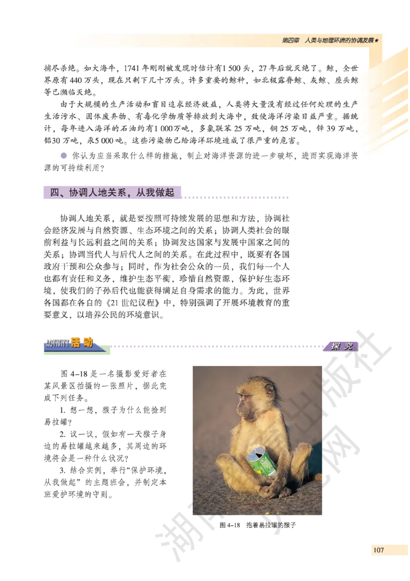 湘教版高中地理必修2_4-教培资料-26年最新资料-同步更新_初中高中教资_03科三专项（进去保存报考的学科即可）_02科三专项（笔记真题思维导图教学设计版本二）