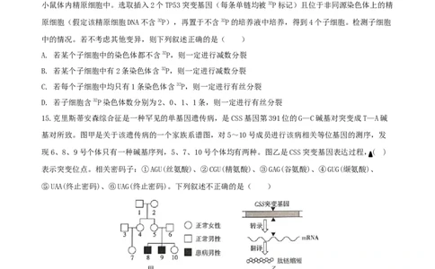 三明一中2023-2024学年上学期12月月考高三生物试卷_2024届福建省三明第一中学高三上学期12月月考（二）_福建省三明第一中学2024届高三上学期12月月考（二）生物