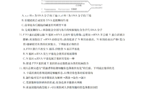 湖南省2026届高三上学期11月联考（26-87C）生物_2025年12月_251204金太阳&middot;湖南省2026届高三上学期11月联考（26-87C）（全科）