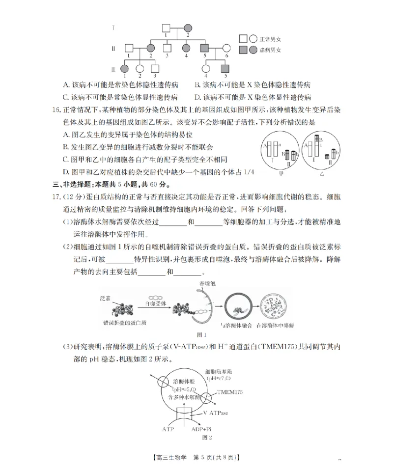 湖南省2026届高三上学期11月联考（26-87C）生物_2025年12月_251204金太阳&middot;湖南省2026届高三上学期11月联考（26-87C）（全科）