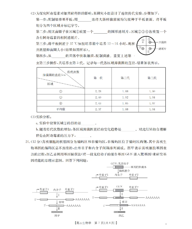 湖南省2026届高三上学期11月联考（26-87C）生物_2025年12月_251204金太阳&middot;湖南省2026届高三上学期11月联考（26-87C）（全科）