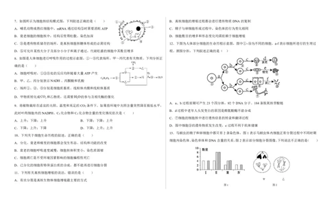 2023-2024学年度高三生物第一次月考试卷_2024届山东省菏泽外国语学校高三上学期第二次月考试题_山东省菏泽外国语学校2024届高三上学期第二次月考试题生物