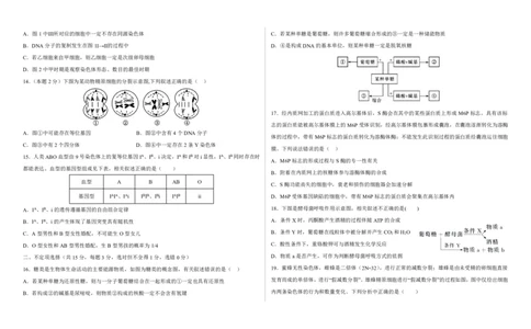 2023-2024学年度高三生物第一次月考试卷_2024届山东省菏泽外国语学校高三上学期第二次月考试题_山东省菏泽外国语学校2024届高三上学期第二次月考试题生物