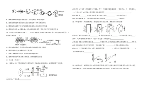2023-2024学年度高三生物第一次月考试卷_2024届山东省菏泽外国语学校高三上学期第二次月考试题_山东省菏泽外国语学校2024届高三上学期第二次月考试题生物