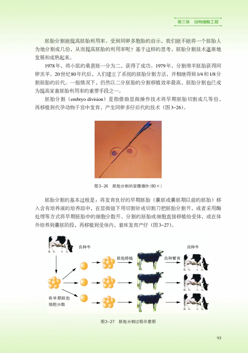 浙科版生物选修3高清教材_4-教培资料-26年最新资料-同步更新_初中高中教资_03科三专项（进去保存报考的学科即可）_02科三专项（笔记真题思维导图教学设计版本二）