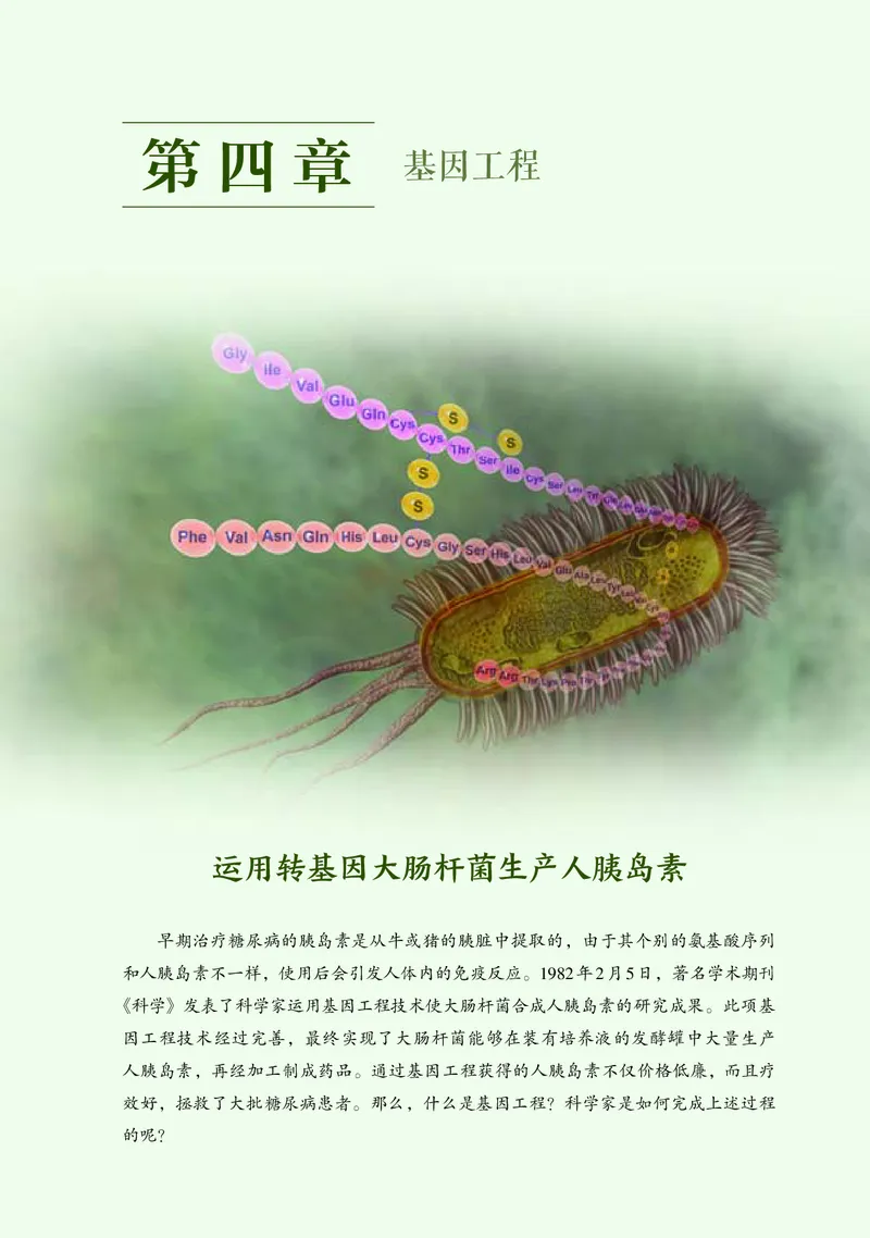 浙科版生物选修3高清教材_4-教培资料-26年最新资料-同步更新_初中高中教资_03科三专项（进去保存报考的学科即可）_02科三专项（笔记真题思维导图教学设计版本二）