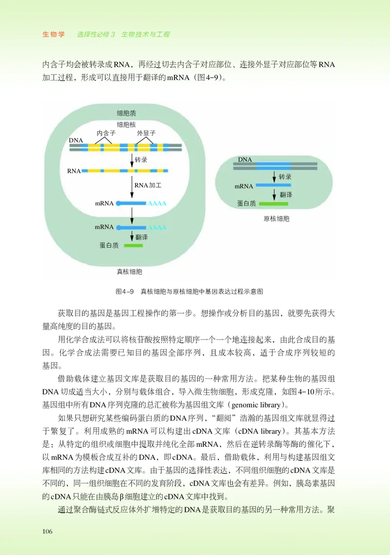 浙科版生物选修3高清教材_4-教培资料-26年最新资料-同步更新_初中高中教资_03科三专项（进去保存报考的学科即可）_02科三专项（笔记真题思维导图教学设计版本二）