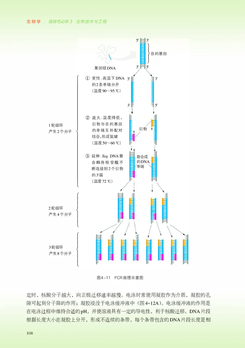 浙科版生物选修3高清教材_4-教培资料-26年最新资料-同步更新_初中高中教资_03科三专项（进去保存报考的学科即可）_02科三专项（笔记真题思维导图教学设计版本二）