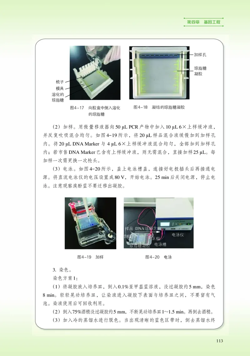 浙科版生物选修3高清教材_4-教培资料-26年最新资料-同步更新_初中高中教资_03科三专项（进去保存报考的学科即可）_02科三专项（笔记真题思维导图教学设计版本二）