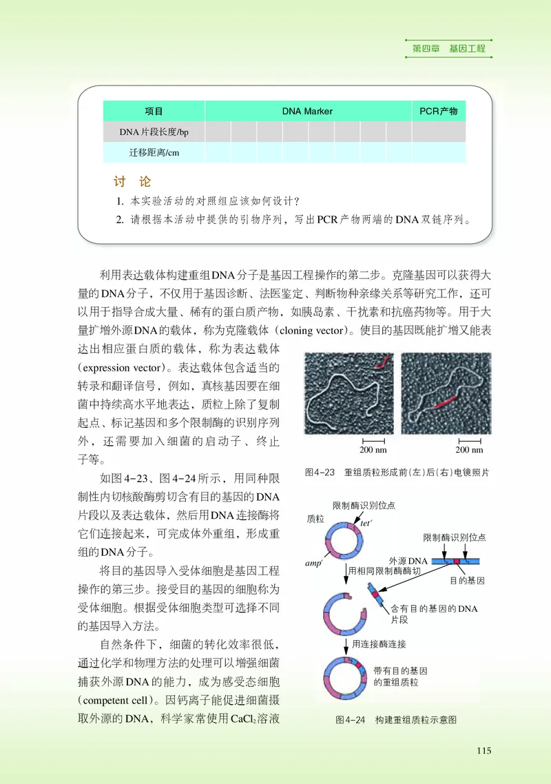浙科版生物选修3高清教材_4-教培资料-26年最新资料-同步更新_初中高中教资_03科三专项（进去保存报考的学科即可）_02科三专项（笔记真题思维导图教学设计版本二）
