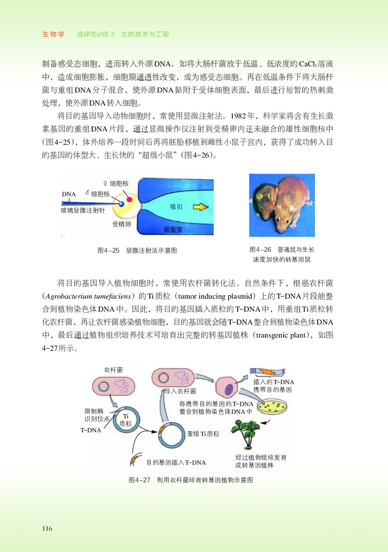 浙科版生物选修3高清教材_4-教培资料-26年最新资料-同步更新_初中高中教资_03科三专项（进去保存报考的学科即可）_02科三专项（笔记真题思维导图教学设计版本二）