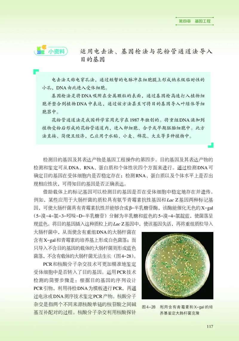 浙科版生物选修3高清教材_4-教培资料-26年最新资料-同步更新_初中高中教资_03科三专项（进去保存报考的学科即可）_02科三专项（笔记真题思维导图教学设计版本二）