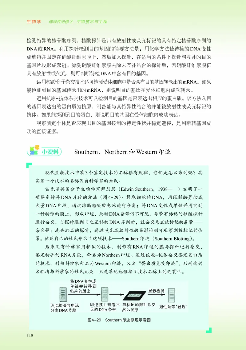 浙科版生物选修3高清教材_4-教培资料-26年最新资料-同步更新_初中高中教资_03科三专项（进去保存报考的学科即可）_02科三专项（笔记真题思维导图教学设计版本二）