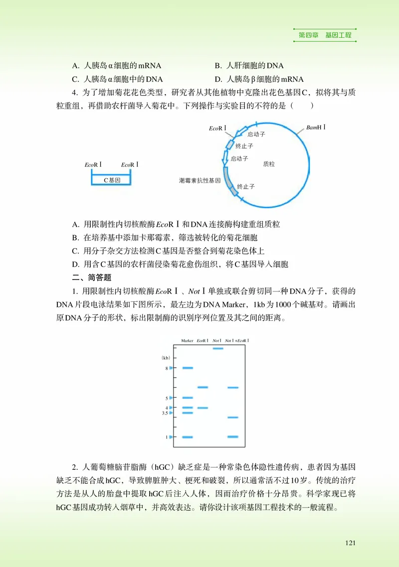 浙科版生物选修3高清教材_4-教培资料-26年最新资料-同步更新_初中高中教资_03科三专项（进去保存报考的学科即可）_02科三专项（笔记真题思维导图教学设计版本二）