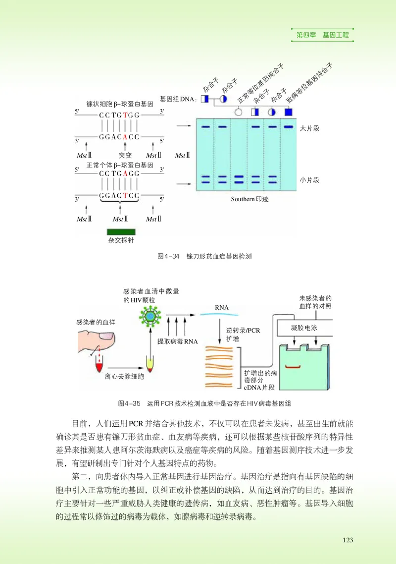 浙科版生物选修3高清教材_4-教培资料-26年最新资料-同步更新_初中高中教资_03科三专项（进去保存报考的学科即可）_02科三专项（笔记真题思维导图教学设计版本二）
