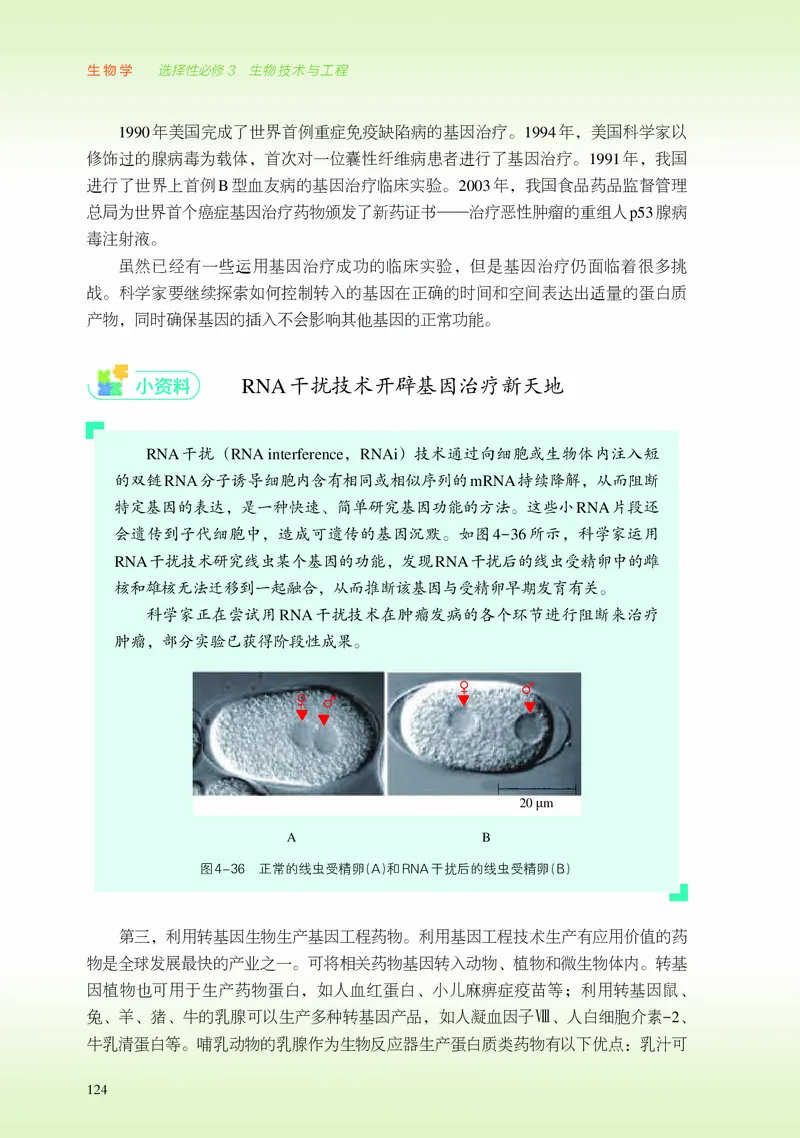 浙科版生物选修3高清教材_4-教培资料-26年最新资料-同步更新_初中高中教资_03科三专项（进去保存报考的学科即可）_02科三专项（笔记真题思维导图教学设计版本二）