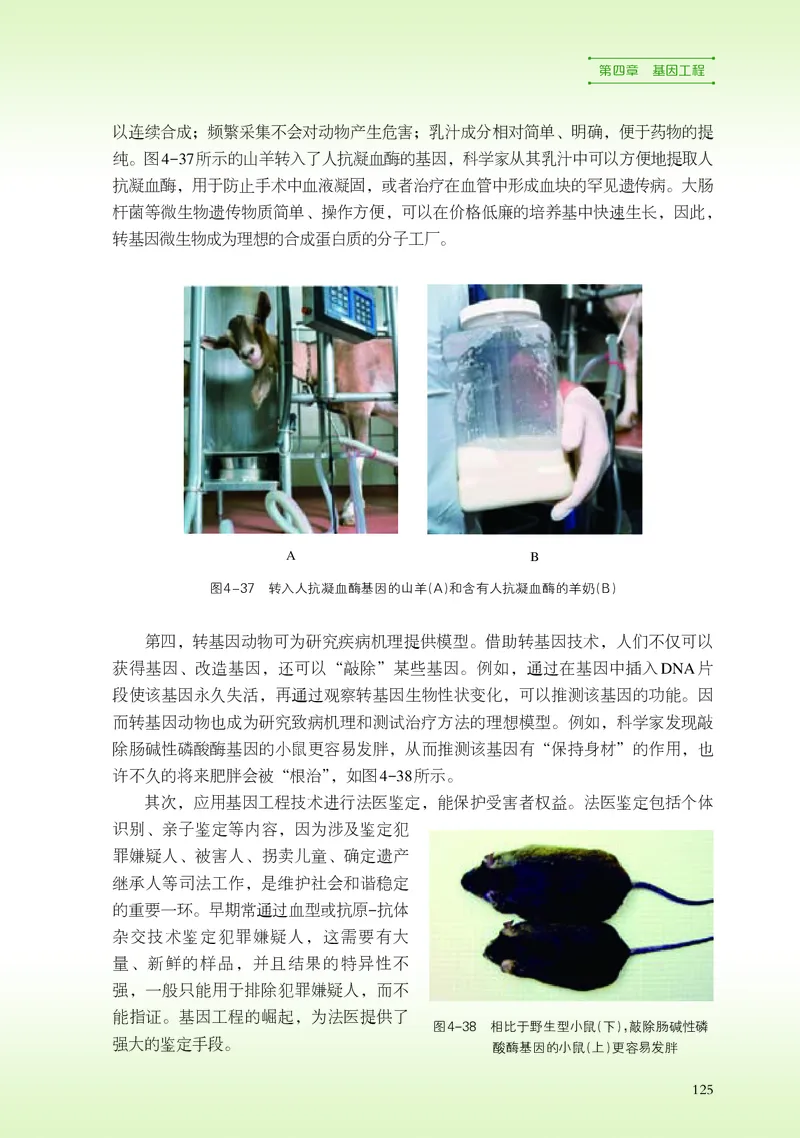 浙科版生物选修3高清教材_4-教培资料-26年最新资料-同步更新_初中高中教资_03科三专项（进去保存报考的学科即可）_02科三专项（笔记真题思维导图教学设计版本二）