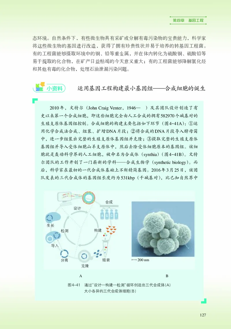浙科版生物选修3高清教材_4-教培资料-26年最新资料-同步更新_初中高中教资_03科三专项（进去保存报考的学科即可）_02科三专项（笔记真题思维导图教学设计版本二）