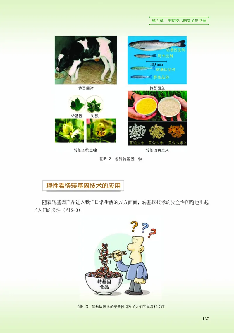 浙科版生物选修3高清教材_4-教培资料-26年最新资料-同步更新_初中高中教资_03科三专项（进去保存报考的学科即可）_02科三专项（笔记真题思维导图教学设计版本二）