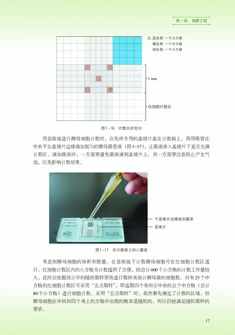 浙科版生物选修3高清教材_4-教培资料-26年最新资料-同步更新_初中高中教资_03科三专项（进去保存报考的学科即可）_02科三专项（笔记真题思维导图教学设计版本二）