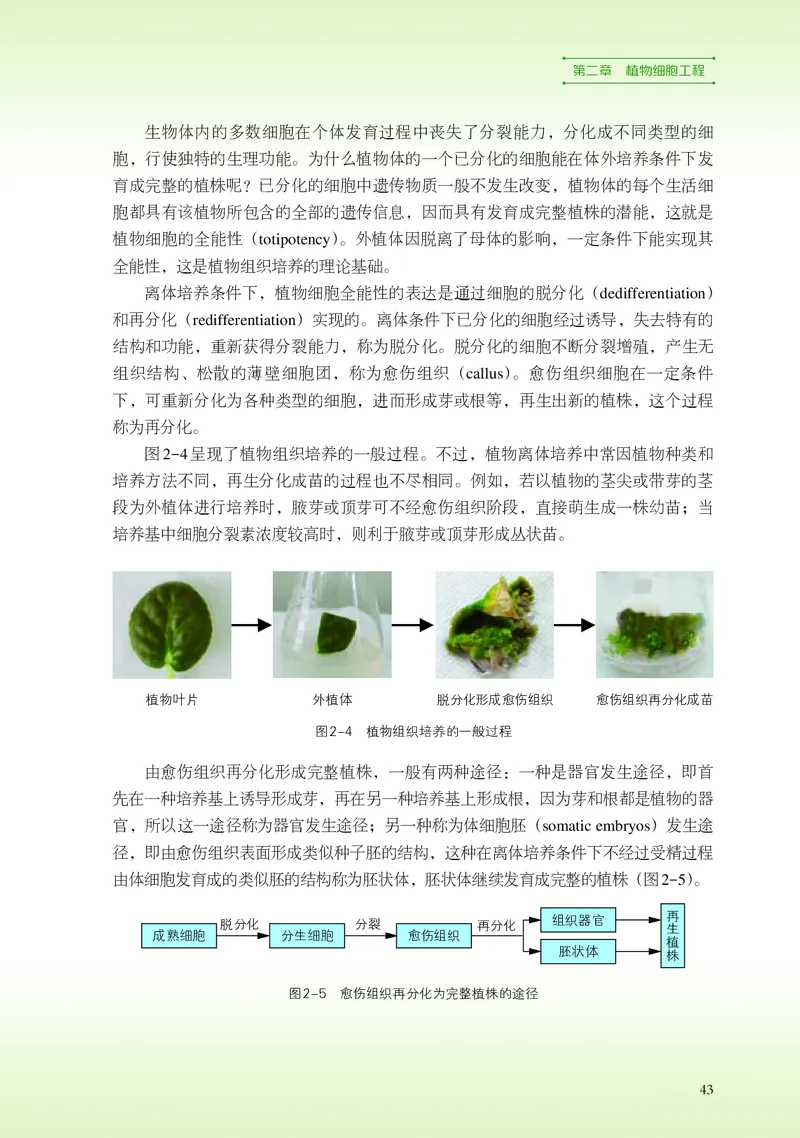 浙科版生物选修3高清教材_4-教培资料-26年最新资料-同步更新_初中高中教资_03科三专项（进去保存报考的学科即可）_02科三专项（笔记真题思维导图教学设计版本二）