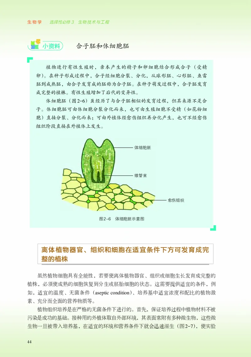 浙科版生物选修3高清教材_4-教培资料-26年最新资料-同步更新_初中高中教资_03科三专项（进去保存报考的学科即可）_02科三专项（笔记真题思维导图教学设计版本二）