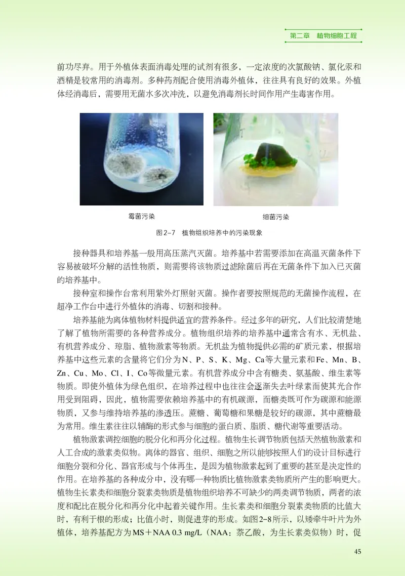 浙科版生物选修3高清教材_4-教培资料-26年最新资料-同步更新_初中高中教资_03科三专项（进去保存报考的学科即可）_02科三专项（笔记真题思维导图教学设计版本二）