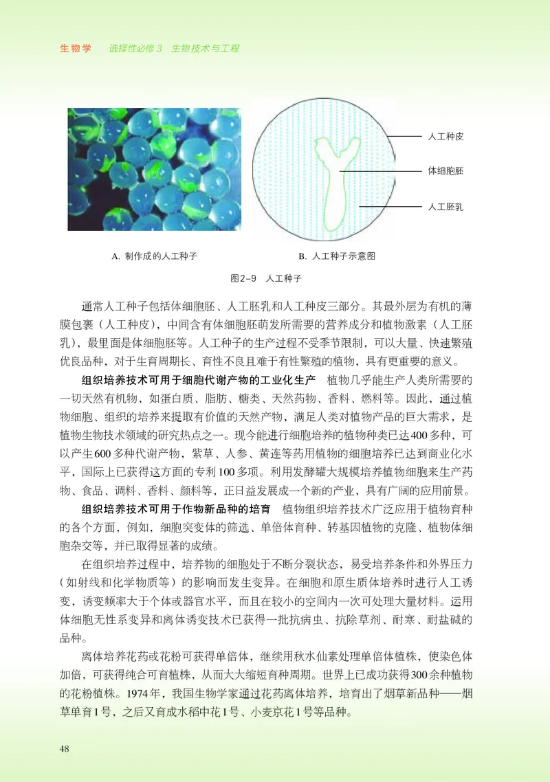 浙科版生物选修3高清教材_4-教培资料-26年最新资料-同步更新_初中高中教资_03科三专项（进去保存报考的学科即可）_02科三专项（笔记真题思维导图教学设计版本二）