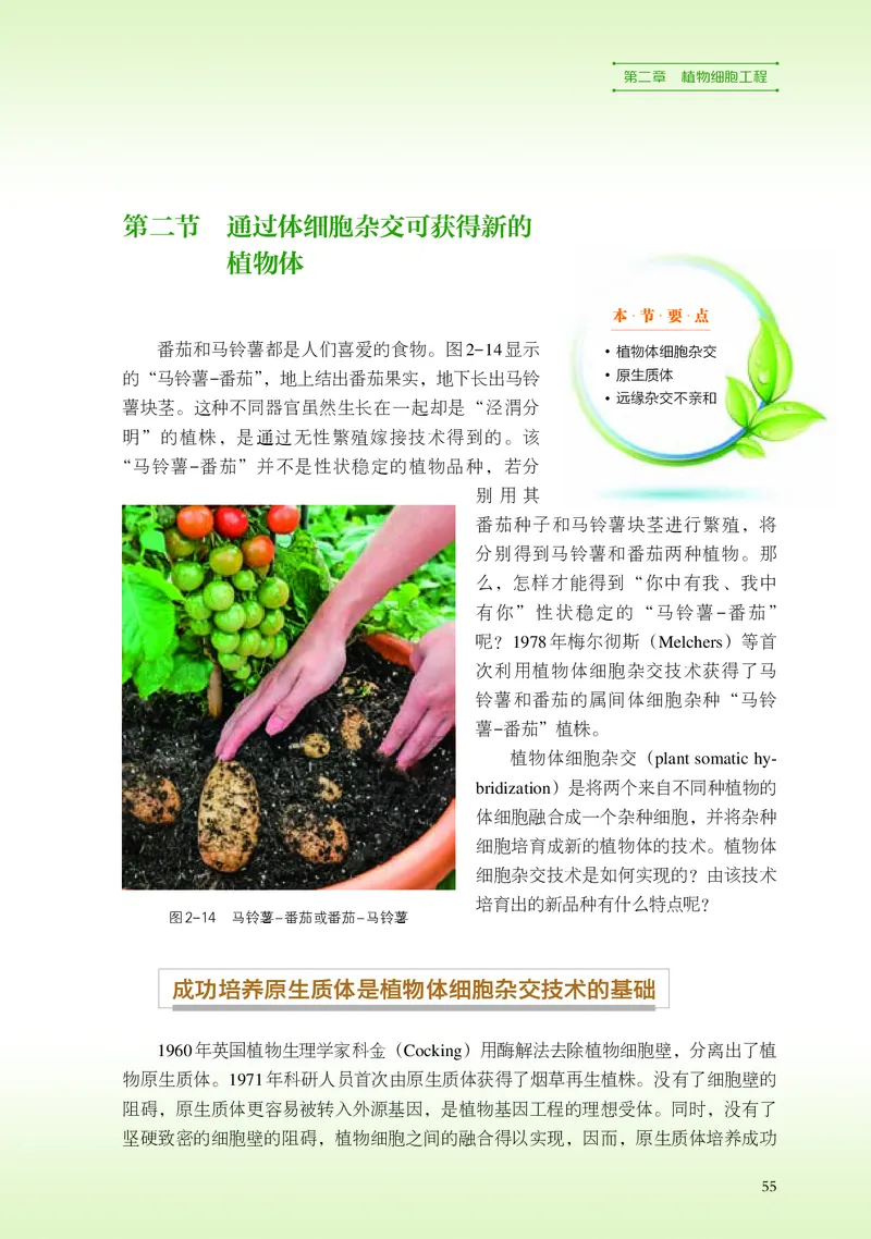 浙科版生物选修3高清教材_4-教培资料-26年最新资料-同步更新_初中高中教资_03科三专项（进去保存报考的学科即可）_02科三专项（笔记真题思维导图教学设计版本二）