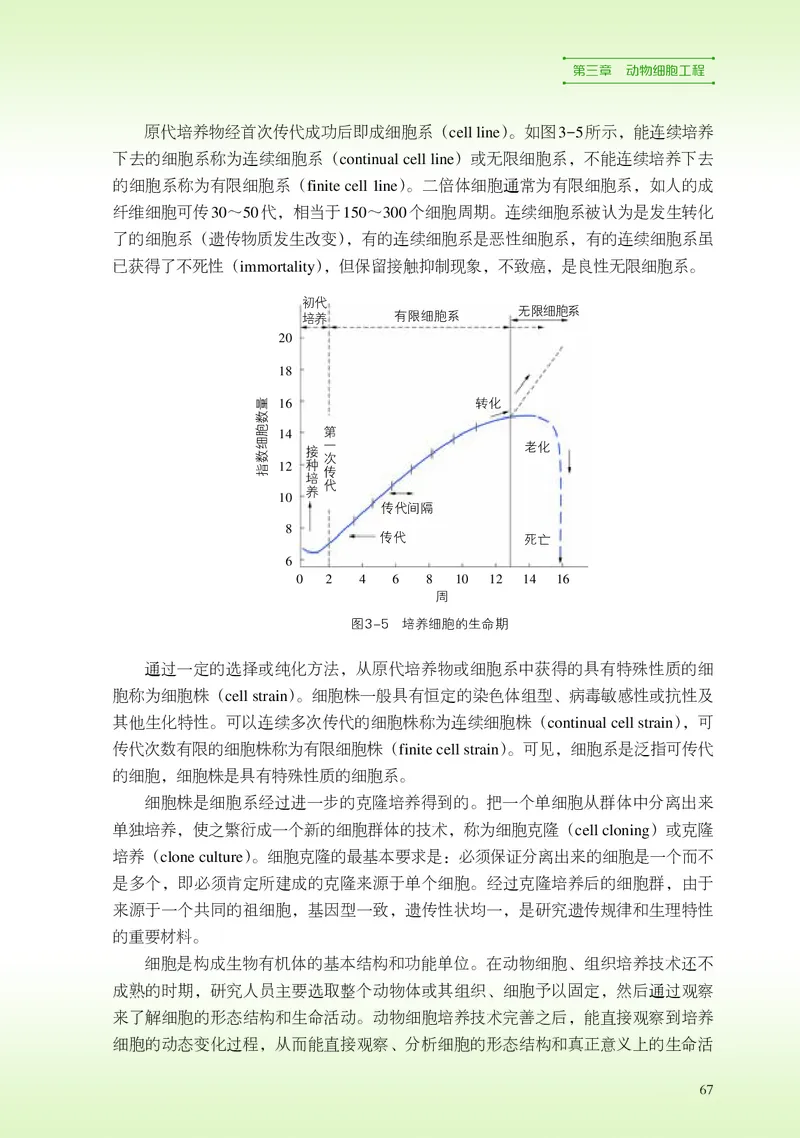 浙科版生物选修3高清教材_4-教培资料-26年最新资料-同步更新_初中高中教资_03科三专项（进去保存报考的学科即可）_02科三专项（笔记真题思维导图教学设计版本二）