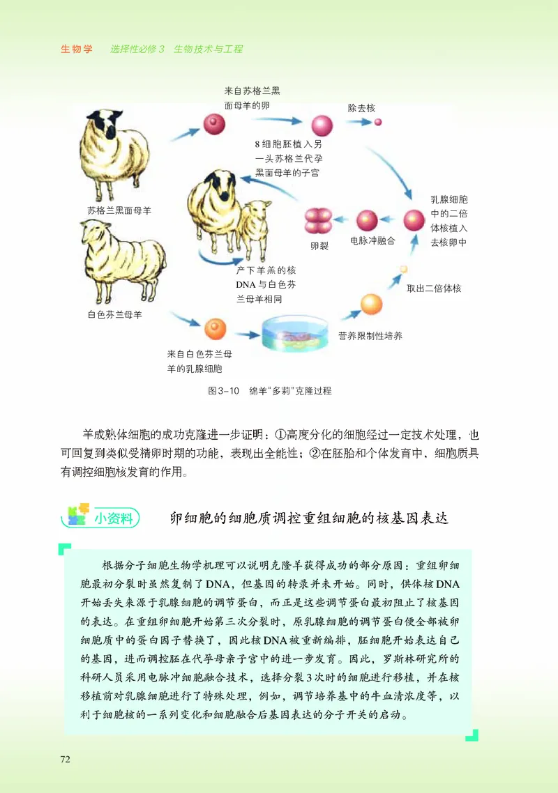 浙科版生物选修3高清教材_4-教培资料-26年最新资料-同步更新_初中高中教资_03科三专项（进去保存报考的学科即可）_02科三专项（笔记真题思维导图教学设计版本二）