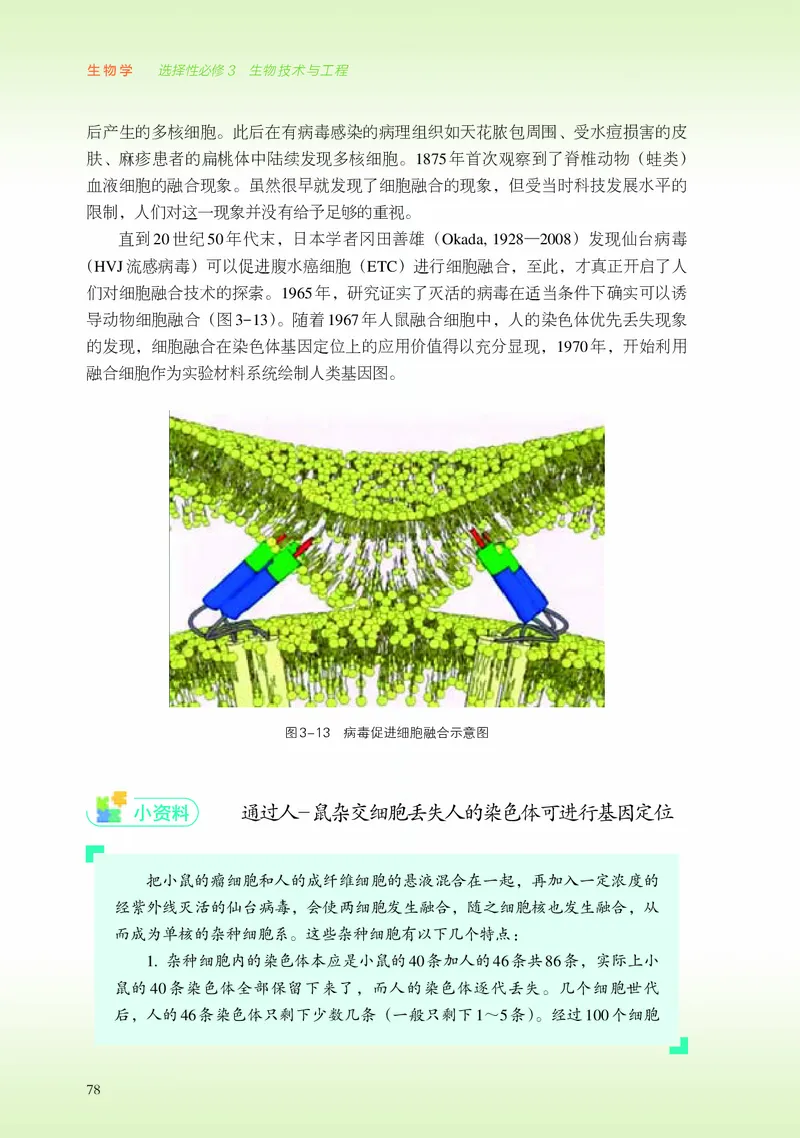 浙科版生物选修3高清教材_4-教培资料-26年最新资料-同步更新_初中高中教资_03科三专项（进去保存报考的学科即可）_02科三专项（笔记真题思维导图教学设计版本二）