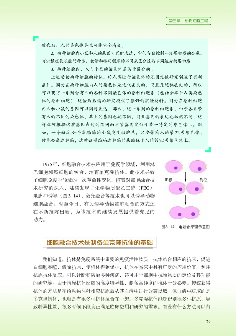 浙科版生物选修3高清教材_4-教培资料-26年最新资料-同步更新_初中高中教资_03科三专项（进去保存报考的学科即可）_02科三专项（笔记真题思维导图教学设计版本二）