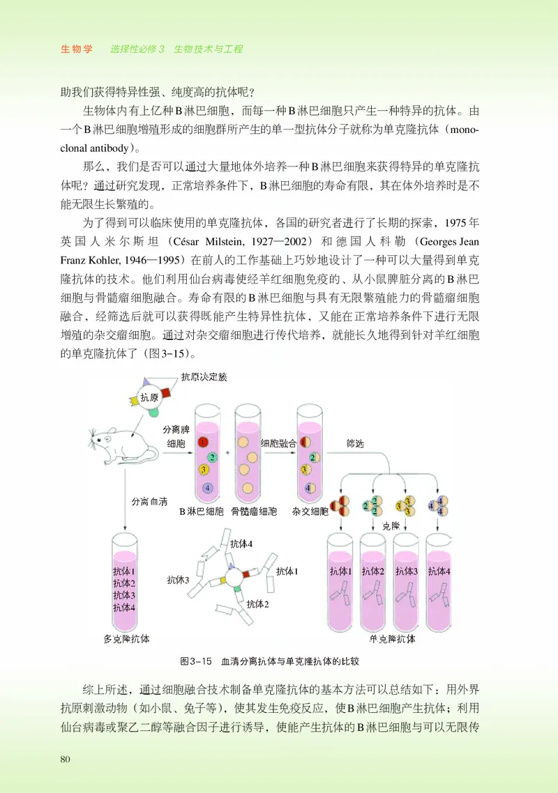 浙科版生物选修3高清教材_4-教培资料-26年最新资料-同步更新_初中高中教资_03科三专项（进去保存报考的学科即可）_02科三专项（笔记真题思维导图教学设计版本二）