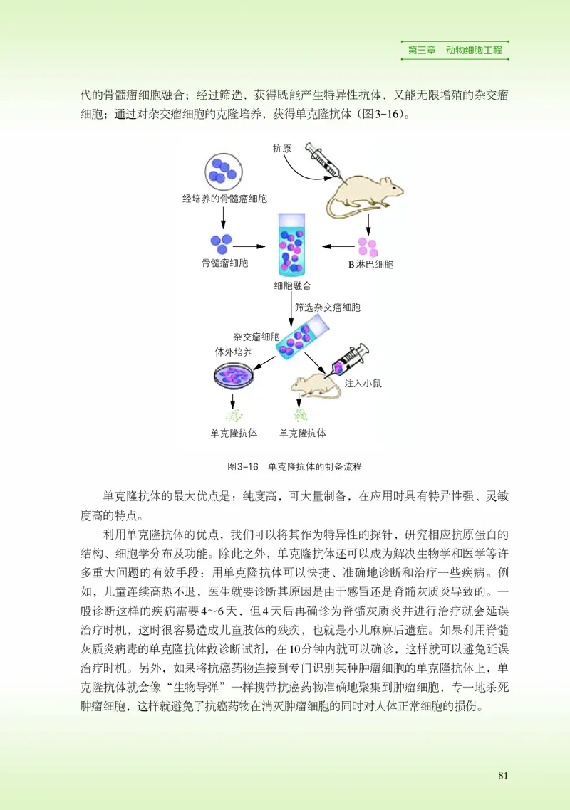 浙科版生物选修3高清教材_4-教培资料-26年最新资料-同步更新_初中高中教资_03科三专项（进去保存报考的学科即可）_02科三专项（笔记真题思维导图教学设计版本二）