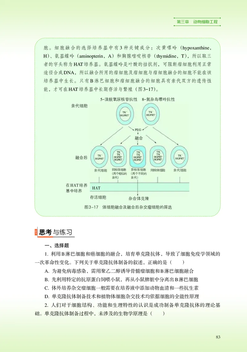 浙科版生物选修3高清教材_4-教培资料-26年最新资料-同步更新_初中高中教资_03科三专项（进去保存报考的学科即可）_02科三专项（笔记真题思维导图教学设计版本二）