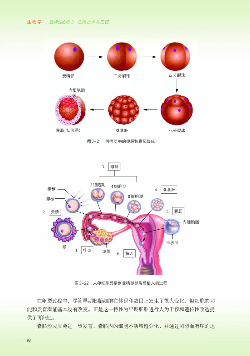 浙科版生物选修3高清教材_4-教培资料-26年最新资料-同步更新_初中高中教资_03科三专项（进去保存报考的学科即可）_02科三专项（笔记真题思维导图教学设计版本二）