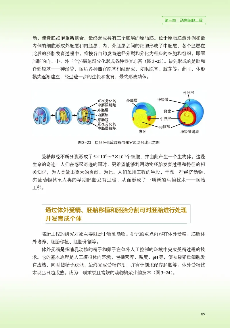 浙科版生物选修3高清教材_4-教培资料-26年最新资料-同步更新_初中高中教资_03科三专项（进去保存报考的学科即可）_02科三专项（笔记真题思维导图教学设计版本二）