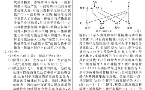 2026届高三总复习&middot;月考卷（三）生物答案_2025年12月_251215名校联考2026届高三总复习&middot;月考卷（三）（全科）