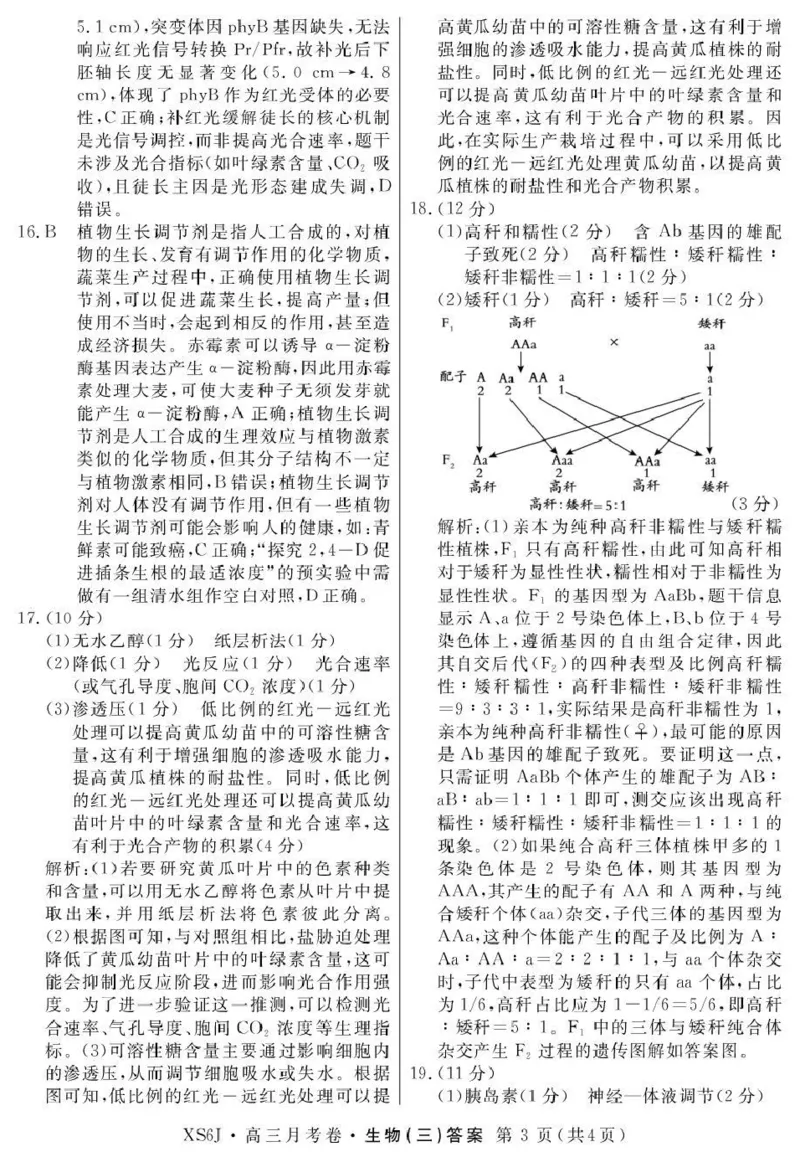 2026届高三总复习&middot;月考卷（三）生物答案_2025年12月_251215名校联考2026届高三总复习&middot;月考卷（三）（全科）