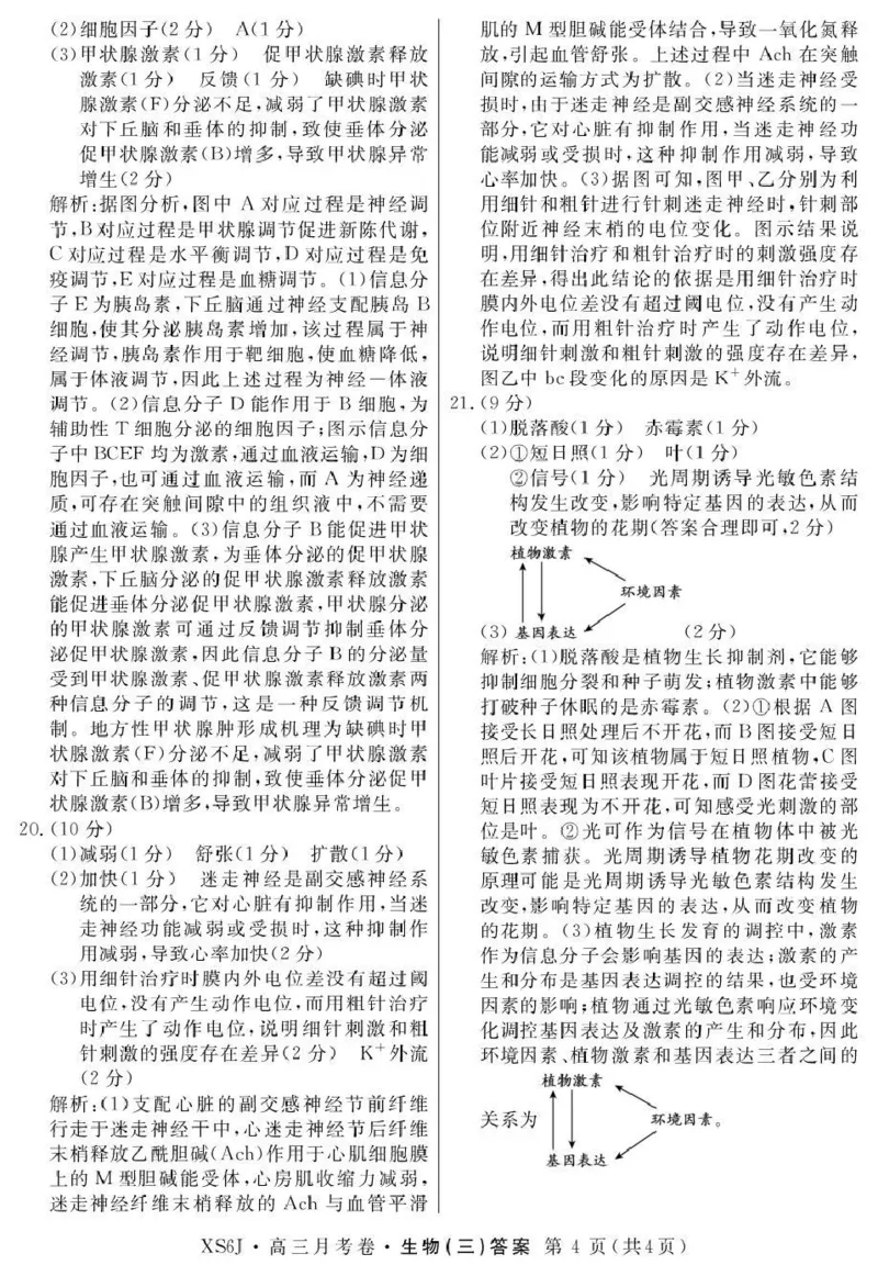 2026届高三总复习&middot;月考卷（三）生物答案_2025年12月_251215名校联考2026届高三总复习&middot;月考卷（三）（全科）