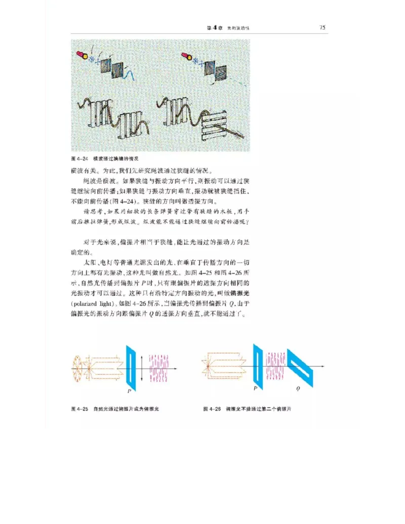 沪科教版高中物理选修3-4电子课本_4-教培资料-26年最新资料-同步更新_初中高中教资_03科三专项（进去保存报考的学科即可）_02科三专项（笔记真题思维导图教学设计版本二）