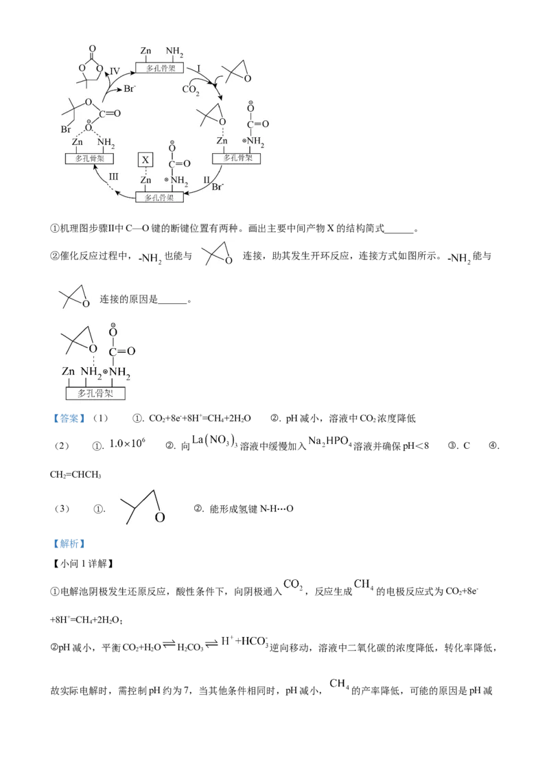 2026届南京市第二十九中学高三上学期模拟预测化学试题Word版含解析_2025年7月_250728江苏省南京市第二十九中学2026届高三上学期模拟预测试题